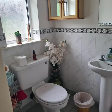 Coreen Guest house Tullamore